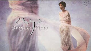 Enya  Orinoco Flow Lyric Video [upl. by Mccandless]