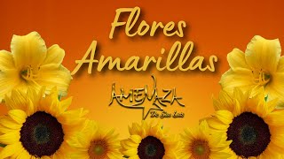 Flores Amarillas  Videoclip Oficial [upl. by Arola]