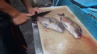 Pescado vivo en el mercado de Tsukiji Tokio [upl. by Arundel]