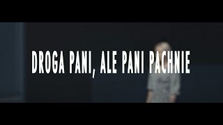 COSMOS  Droga pani ale pani pachnie OFFICIAL LYRIC VIDEO [upl. by Neilla]