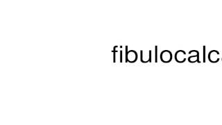 How to pronounce fibulocalcaneal [upl. by Ame]