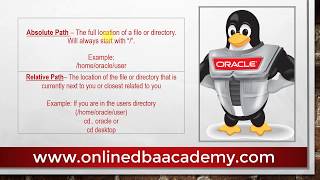 Absolute Path and Relative Path in Linux [upl. by Poree]