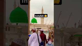 Roza e Rasool SAW View ❤️  Part 56 rozaerasool madina [upl. by Dimmick]