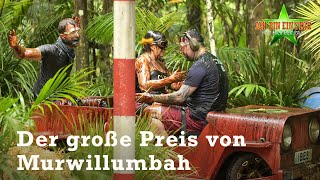 Dschungelprüfung Der große Preis von Murwillumbah  8  Dschungelcamp 2023 [upl. by Nyrac]