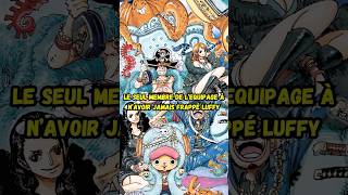 Qui est le seul membre de l’équipage à n’avoir jamais tapé Luffy  onepiece anime manga luffy [upl. by Rip204]