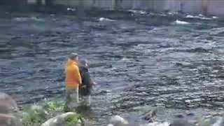 The Gaula NorwayAtlantic Salmon Fishing [upl. by Crandale]