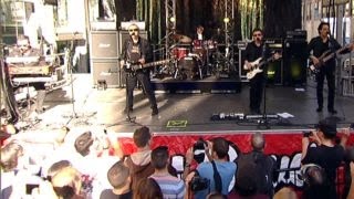 Blue Oyster Cult performs Dont Fear The Reaper [upl. by Martina]