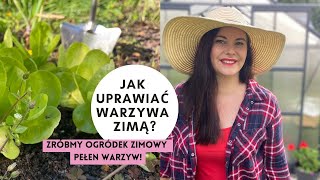 Jak uprawiać warzywa zimą Uprawa warzyw przez cały rok Jak zrobić zimowy ogród pełen warzyw [upl. by Hills518]