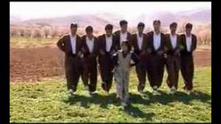 Kürtce Halay Dügün  Kurdish Wedding Dance Halparke [upl. by Care]