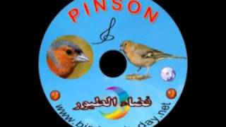 CD CHANT DE PINSON [upl. by Anilah327]