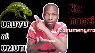 Dore uko wakwitsirika ibyo umurozi aguhaye bigahita byikubita hasi [upl. by Pell]