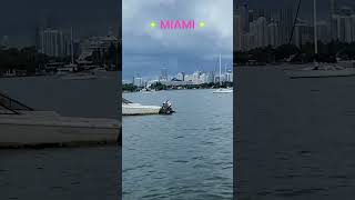 city skyline miami walkingtour beachwalktour nature beach [upl. by Moritz]