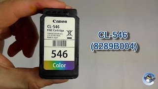 How to Refill Canon CL546 8289B004 Colour Ink Cartridge [upl. by Aay]