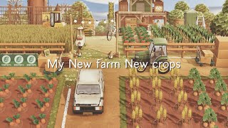 田舎の野菜と麦畑 アプデの新家具  New crops Farming  Speed build  Animal crossing new horizons ｜あつ森  島クリ [upl. by Hiasi939]