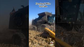 Stealth Gleaner Super 7 combine Harvesting corn in Ohio [upl. by Anaahs]