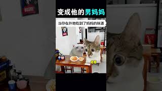 在外地的你嘗到了媽媽的味道 貓meme 貓meme日常 貓meme小劇場 meme 媽媽 貓meme 貓meme funny 搞笑 搞笑 小故事 小故事 cat [upl. by Ntsyrk472]