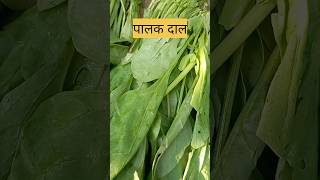 Daal palak recipe recipe cooking ytshorts [upl. by Verine]