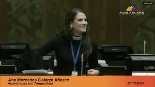 Asambleísta Ana Galarza  Sesión 975  LeyNoMásApagones [upl. by Lud819]