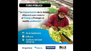 Foro La importancia de la Debida Diligencia para mejorar el trabajo y Proteger el Medio Ambiente [upl. by Ynaitirb]