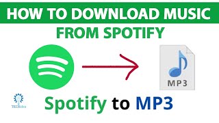 How to Download Music in Spotify 2024 New Method [upl. by Fontana]