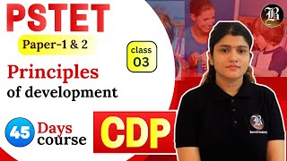 CDP  Lec3 Principles of Development  PSTET Paper1 amp 2  45 Days Crash Course  Bansal academy [upl. by Maurilla]