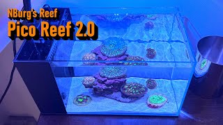 Return of the 35 Gallon Pico Coral Reef [upl. by Annunciata]