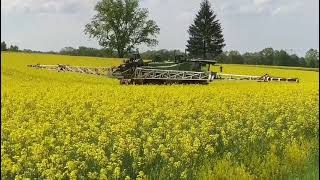 Postřik ŘepkyFendt Rogator 655 [upl. by Barnum]