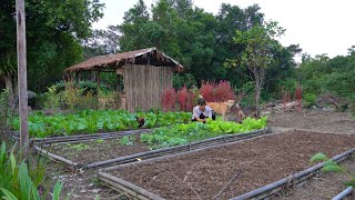 Gardening to grow more types of vegetables Taking care of animals Cooking delicious noodles [upl. by Nidorf505]