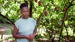 I Love Tobago  Tobago Cocoa Estate Celebrates Harvest [upl. by Hamford748]