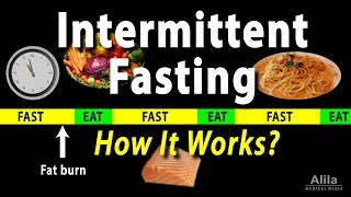 Intermittent Fasting  How it Works Animation [upl. by Vudimir871]