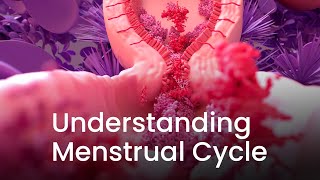 Understanding Menstrual Cycle Through 3D Animation [upl. by Barnabe]