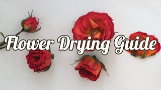 How to Dry Flowers 4 Methods [upl. by Gamal]