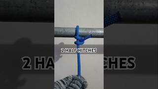 2 HALF HITCHES shortvideo howtotie knottying [upl. by Won]