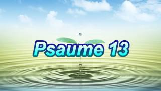 Psaume 13 [upl. by Yrad]