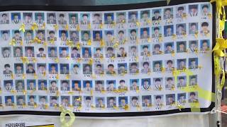 세월호의 단원고 희생자들 victims of Sewol ferry disaster [upl. by Jarrett252]