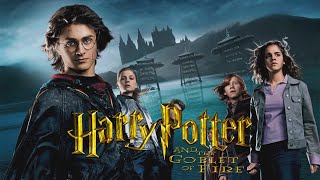 Harry Potter E Il Calice Di Fuoco Recensione E Analisi Del Film  Hogwarts Party [upl. by Aldas]