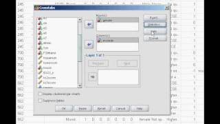 ChiSquare analysis on SPSS [upl. by Lesak848]