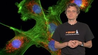 Microscopy Introduction to Fluorescence Microscopy Nico Stuurman [upl. by Varini]