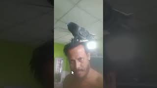 Kabootar🌹 pigeon 🐦 short video  kabootar [upl. by Laeria]