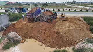 Success 100 Fill the soil Flooded land next to the road Use MITSUBISHI Dozer And Dump Trucks 5T [upl. by Luther]