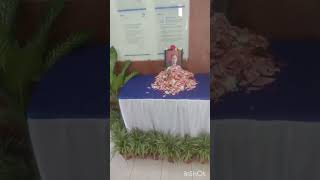 Shri Shri Ratan Tata अन्नदाता  shradhanjali yt youtube viral short video funny comady new [upl. by Nnaeilsel286]