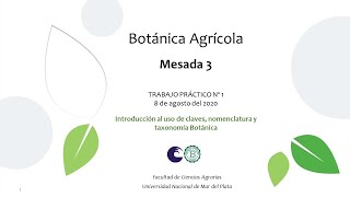 TP Nº 1 BOTÁNICA AGRÍCOLA MESADA 3 20082020 [upl. by Revell697]