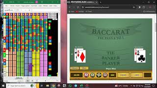 new best baccarat winning software 2024 test [upl. by Ayikahs]