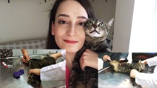 KEDİMİ KISIRLAŞTIRDIM VLOG 1 [upl. by Notlim460]