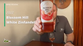 Wine Review Blossom Hill White Zinfandel 2022 [upl. by Madora]