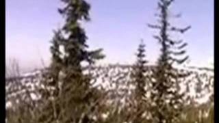 Yeti or Bigfoot filmed in Siberia Russia [upl. by Jelle649]