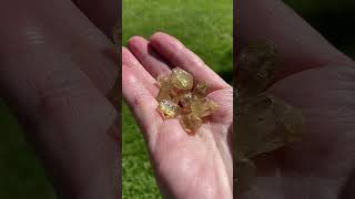 ✨Golden Apatite✨ Clearance section crystalsquared12etsycom apatitegoldenapatitesaleyoutube [upl. by Reace]