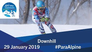 Downhill  2019 World Para Alpine Skiing World Championships [upl. by Joub]