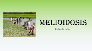 Infectious disease Melioidosis Whitmores disease Burkholderia pseudomallei treatment [upl. by Emmons]