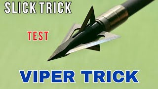 SLICK TRICK VIPER TRICK 125 gr Broadhead Test [upl. by Nael442]